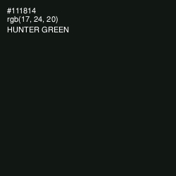 #111814 - Hunter Green Color Image